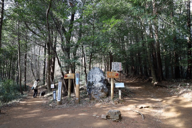 日和田山、物見山